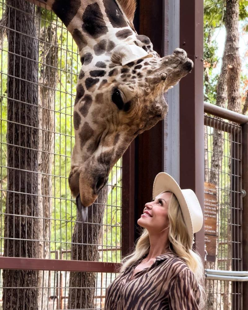 I Stayed at America's Best 'Animal Airbnb'