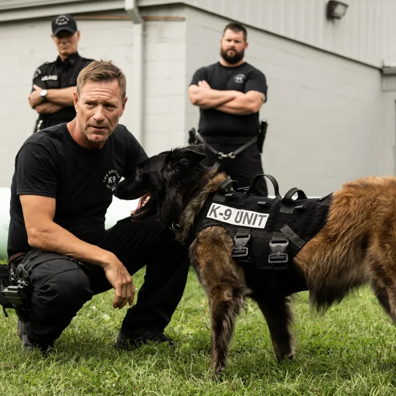 NEW MOVIE TRAILERS (2026) Best