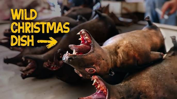 North Sulawesi, Indonesia Meat Market (Warning: Graphic Content)