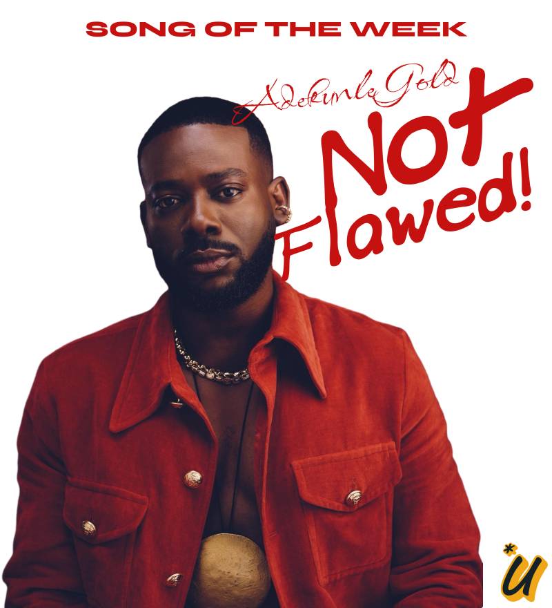 Adekunle Gold - The Fuji Album Special