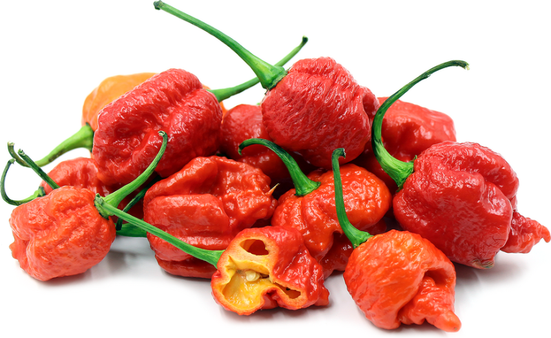 I Tried the World’s Hottest Pepper 