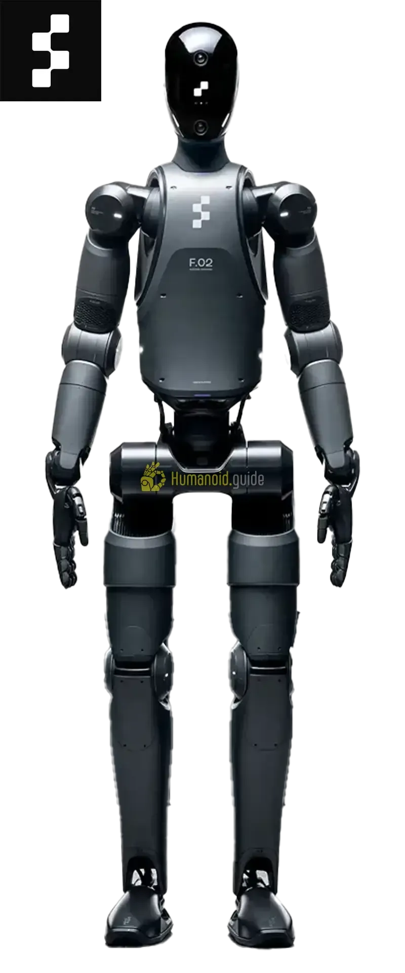 What's in a humanoid hand?