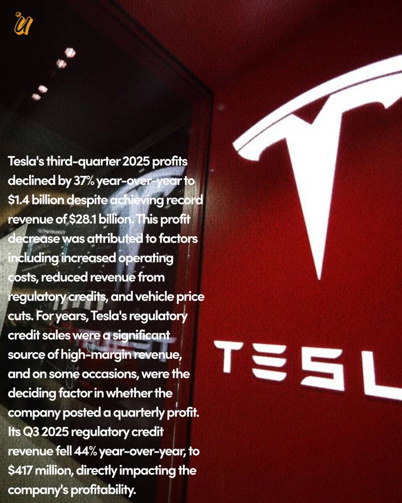 Tesla Profits Fall Despite Record Sales