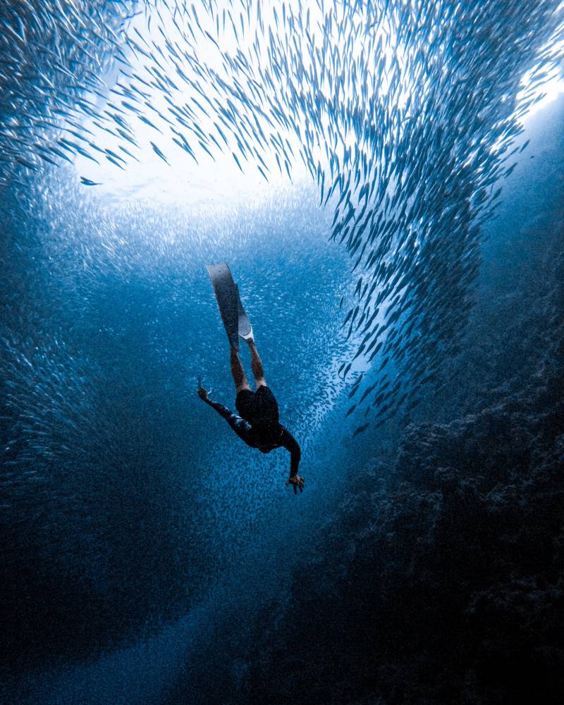 GoPro - Underwater Moments