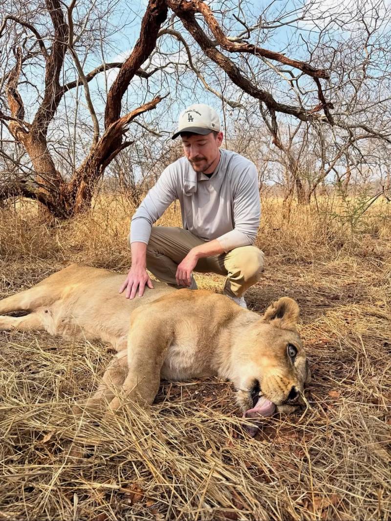 I Saved 1,000 Animals From Dying