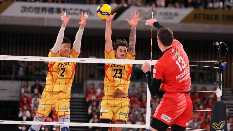 Final - Stings vs. Sunbirds