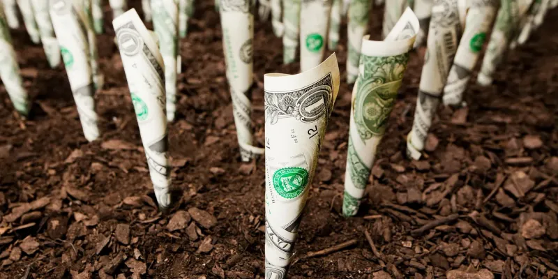 Dimensions of Impact