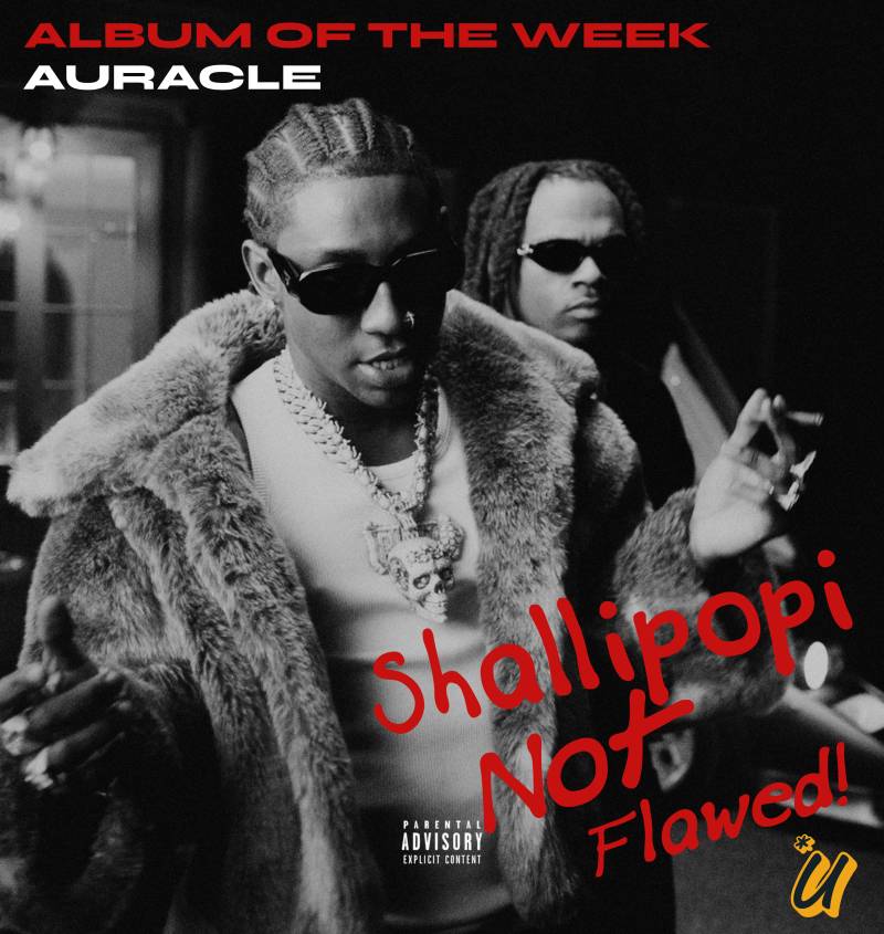 Shallipopi - Auracle