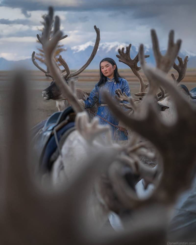 Mongolia Reindeer Nomads 