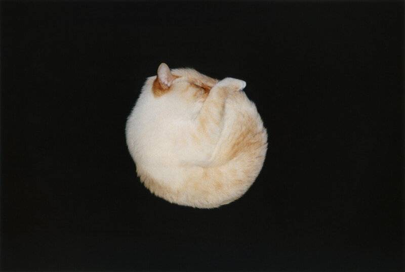 Sculptor Yasushi Mori