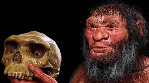 New Denisovan Skull Rewrites Our Family Tree