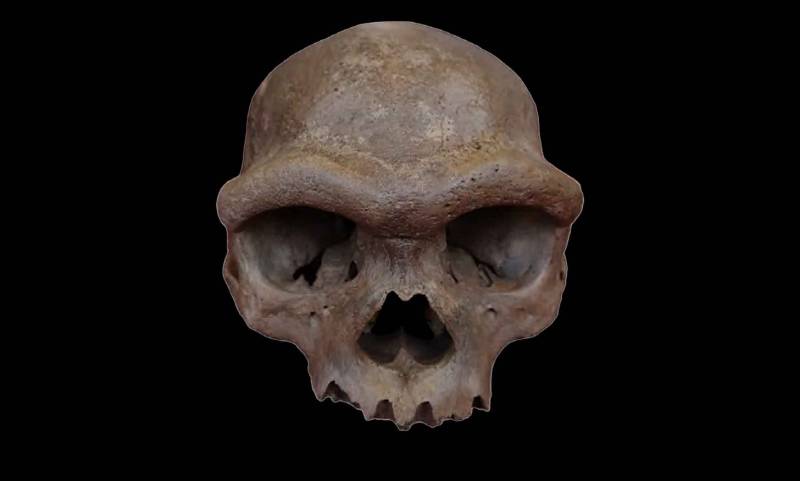 Denisovan Skull Discovery: What the "Dragon Man" Fossil Reveals