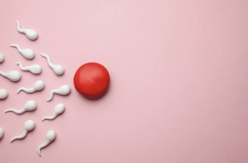 The ONE thing destroying male fertility in 2026.