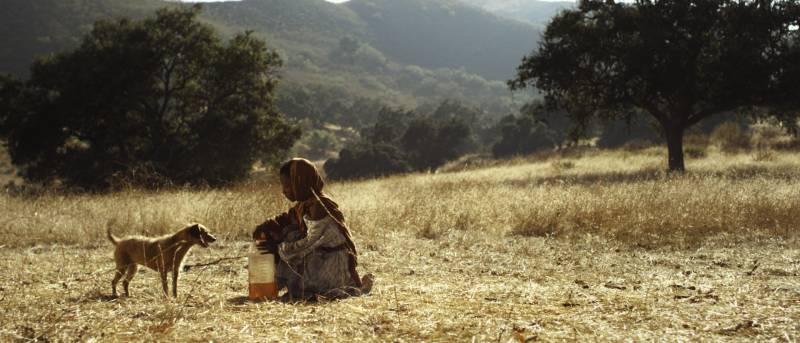 Short Film - HALEEMA 