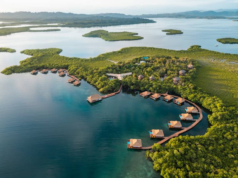 Finding the frequency of peace.