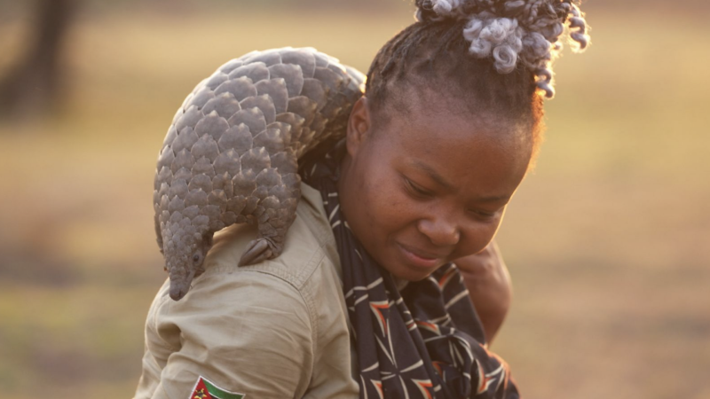 Mozambique: Gorongosa’s Great Comeback (Part One)