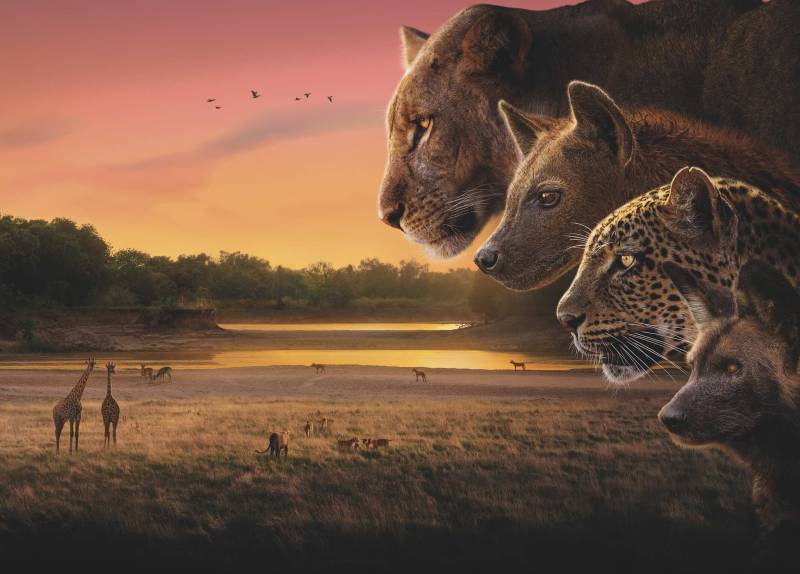 10 Animal Behaviours Filmed for the First Time Ever