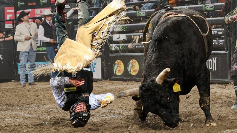 The Rankest Bull Riding Wrecks of February 2026