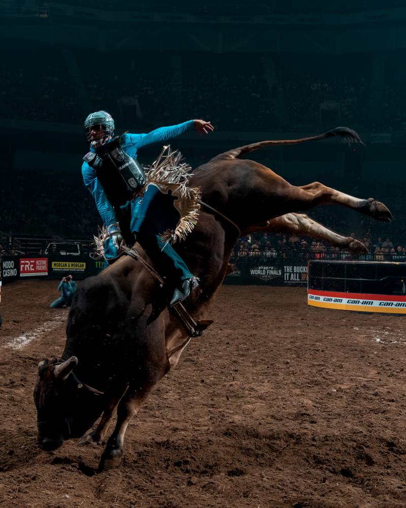 PBR - Wrecks of February 2026