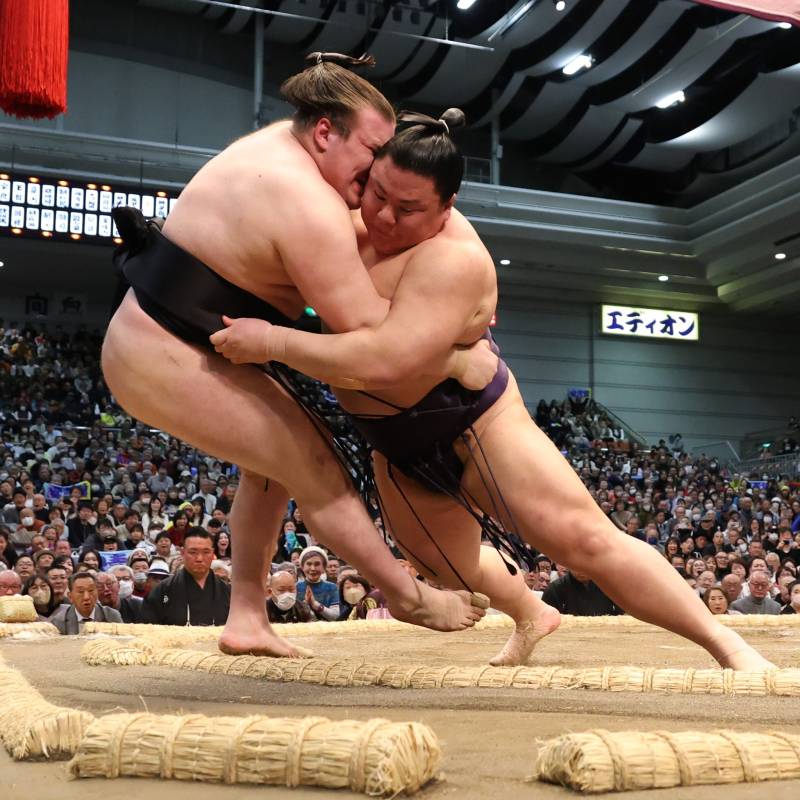 Aonishiki: The Double