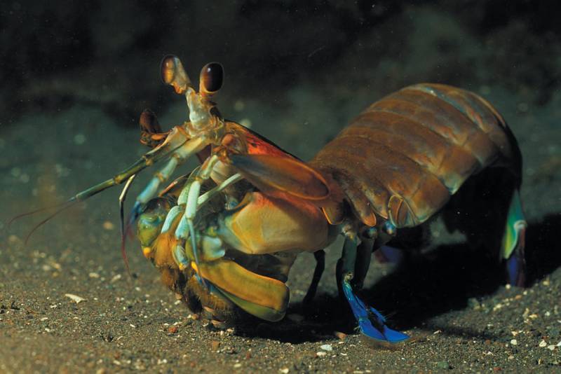 Shrimp Heaven: Finding Asia's Best Seafood Gems