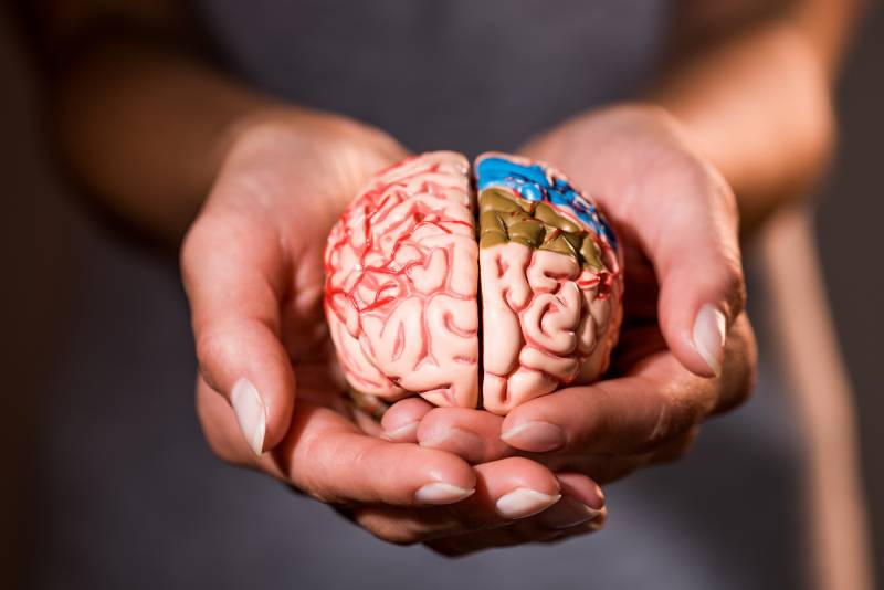 How to Stop Your Brain from Aging (The Latest 2026 Research)