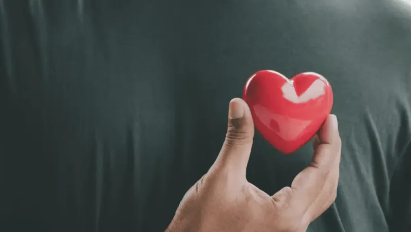 Why Do We Love? - Robin May