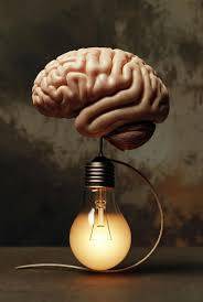 Human Intelligence 2026: Why the 3-Pound Brain is Still King