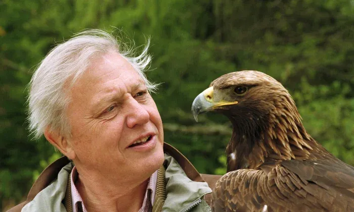 The Living Archive: David Attenborough