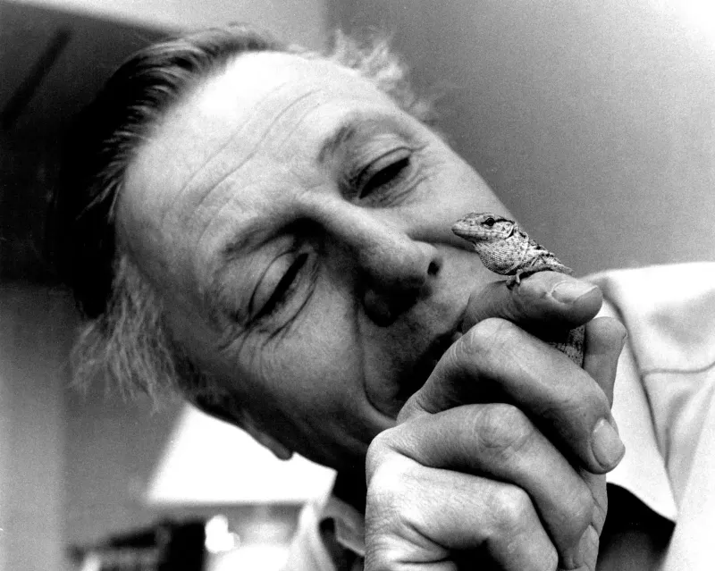 The Living Archive - David Attenborough