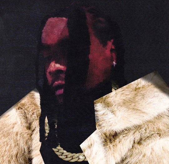 Wale - Sonic Intimacy