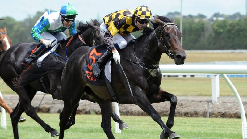Equine Excellence: The 12 Defining Moments of 2025