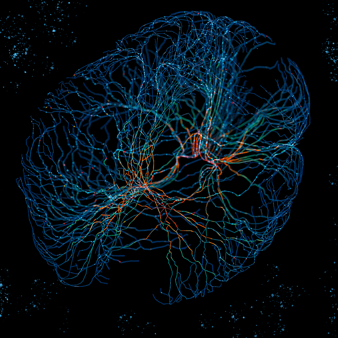 66505d7c318aa900fad8613779f01db2.gif