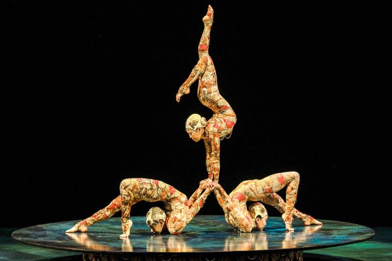 Cirque du Soleil: Where Precision Meets Pure Magic.
