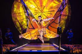 Experience Luzia: Cirque du Soleil’s Artistic Vision