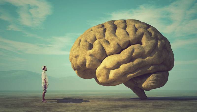 The Complexity Limit: Colva Roney-Dougal on Solving the Hardest Problems