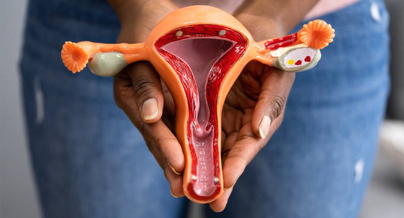 Ovarian Cancer - Understanding the Signs and Risks