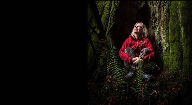Forest Ecologist Answers Tree FAQs | WIRED