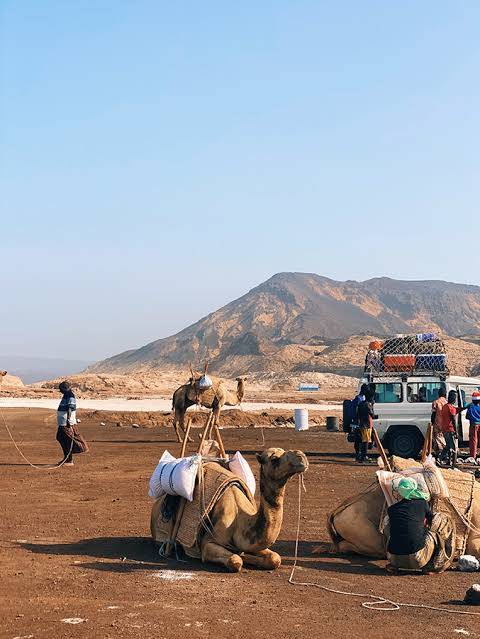 Djibouti Ethiopia - The World’s Most Important Tiny Nation