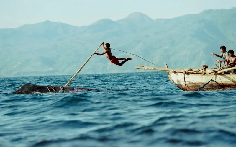 They Hunt Whales to Survive (By Hand)