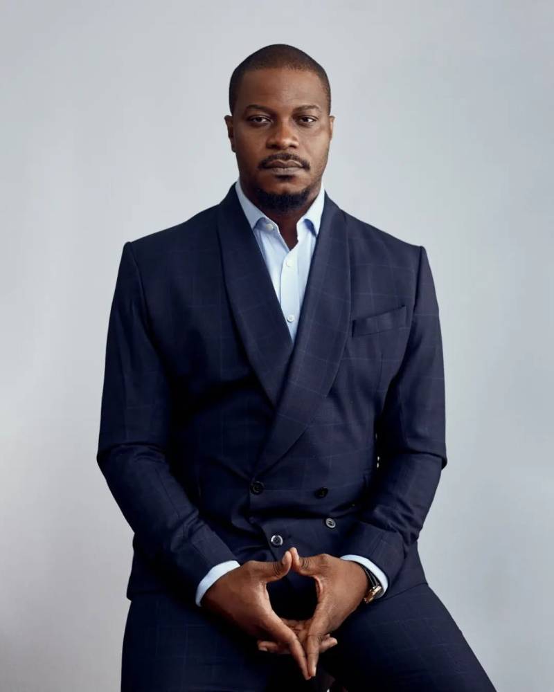 Afropolitan - A Lagos Governorship Candidate Tells All
