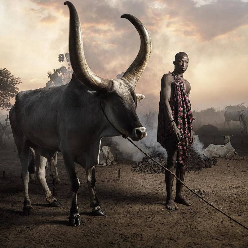 Living With Wild Animals: The Dangerous Reality Behind Closed Doors