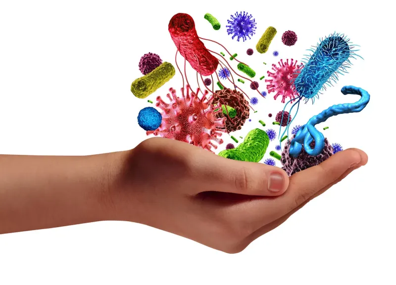 How Your Immune System ACTUALLY Works