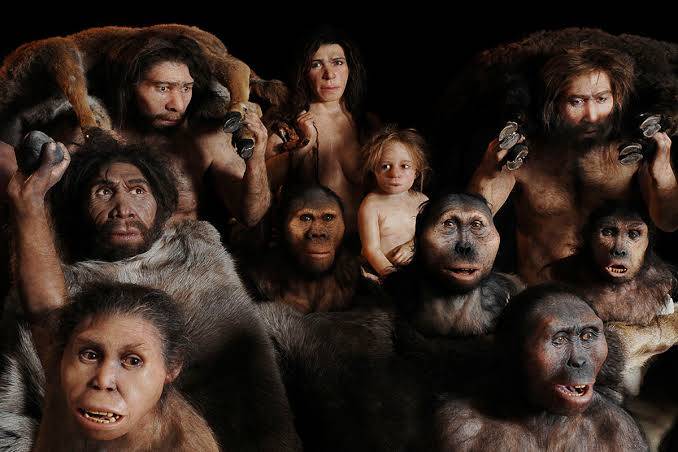 An Anthropologist Breaks Down the Mysteries of Human Evolution