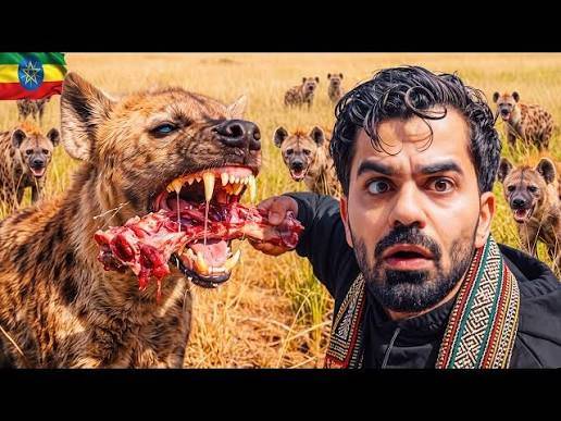 Inside Ethiopia's City of Wild Hyenas