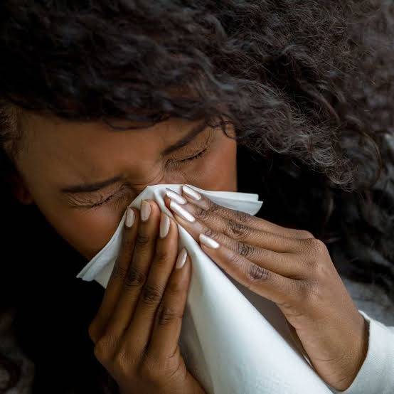 How Your Immune System ACTUALLY Works